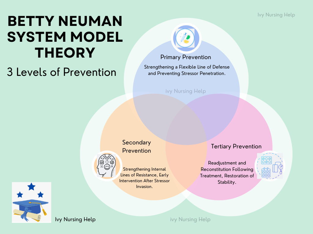 Betty Neuman Systems Model Theory