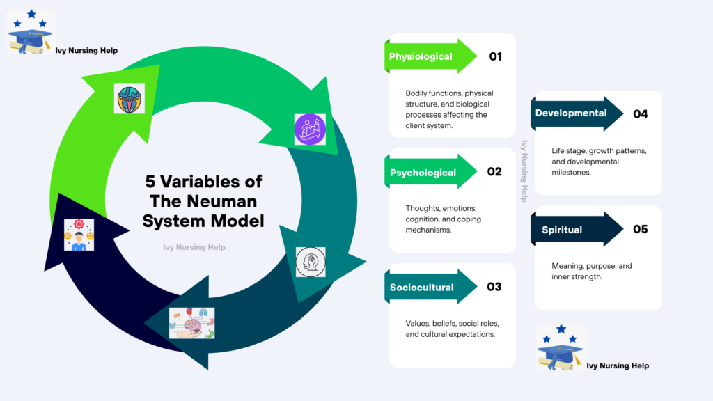 Betty Neuman's System Model Theory
